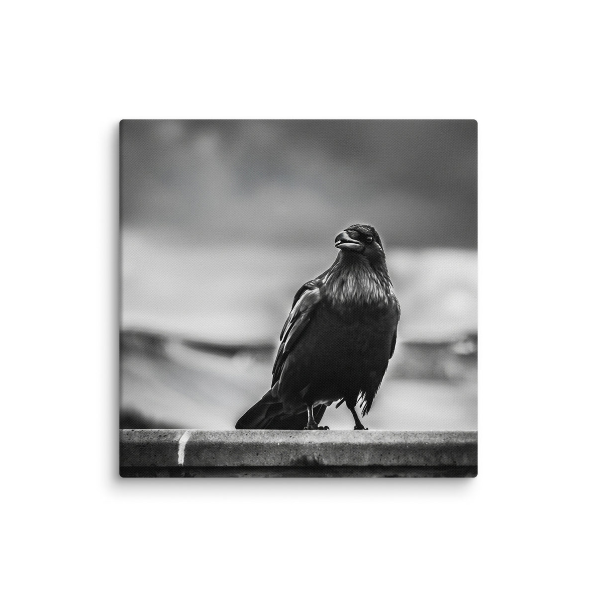 Crow So Chic canvas print by Iain Camacho, square canvas shown at a slight angle with a black and white photograph of a crow standing on a ledge against a cloudy sky