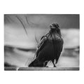Crow So Chic throw blanket by Iain Camacho, flat front view of a black and white photograph of a crow standing on a ledge against a soft blurred background