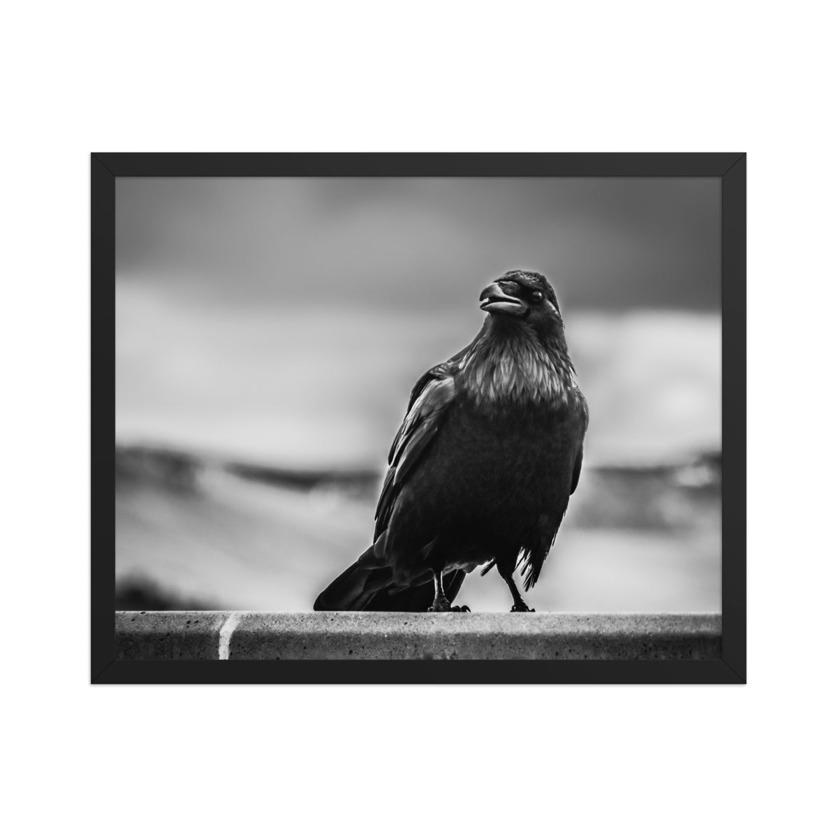 Crow So Chic framed luster print by iain, larger size shown in a black frame