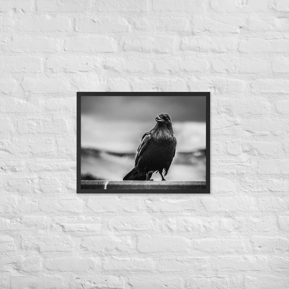 Crow So Chic framed luster print by iain, black framed print resting on a light wood floor against a white wall