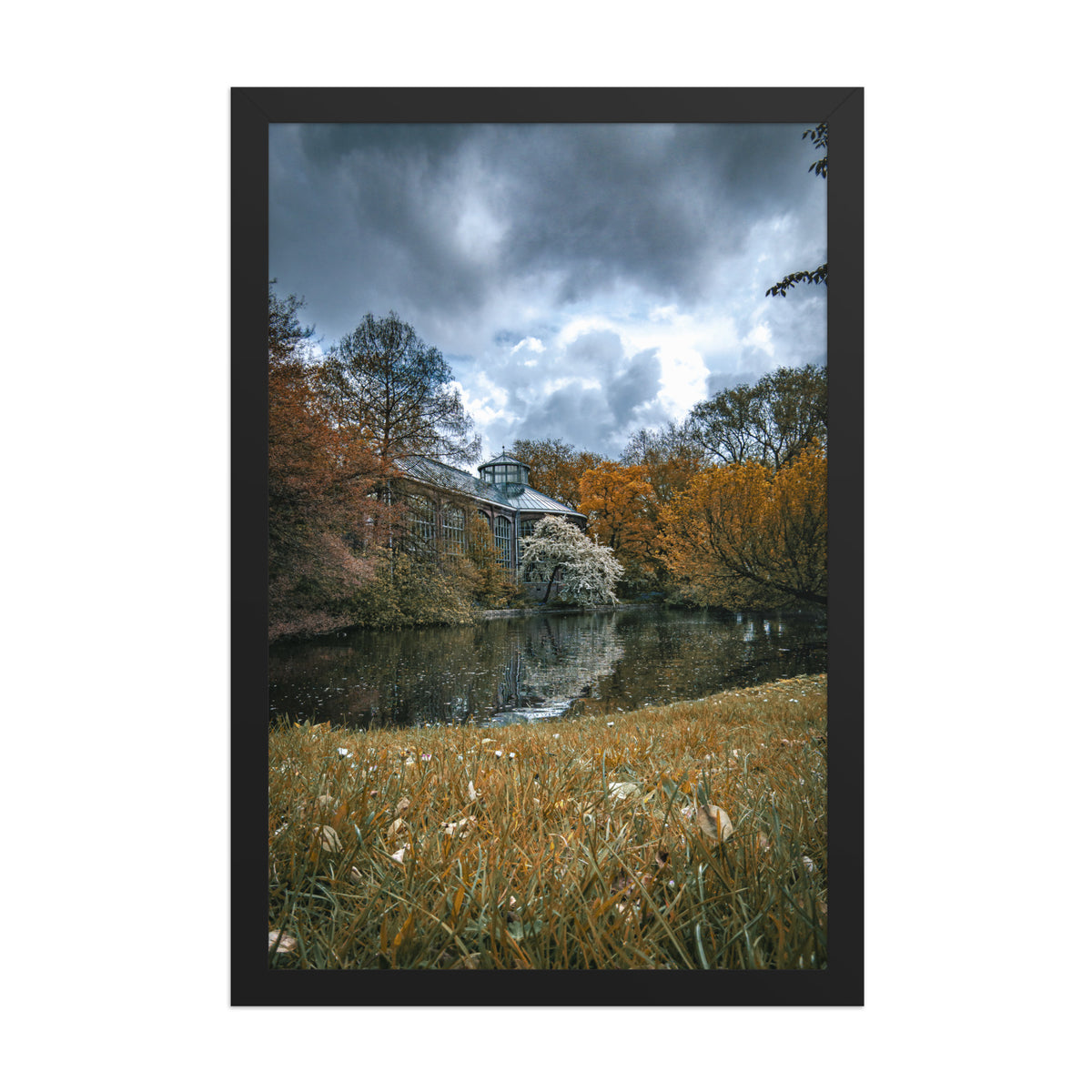 Hortus Botanicus, Amsterdam framed luster print by iain, front view of the black framed print showing the pond, autumn trees, and tall grass in the foreground