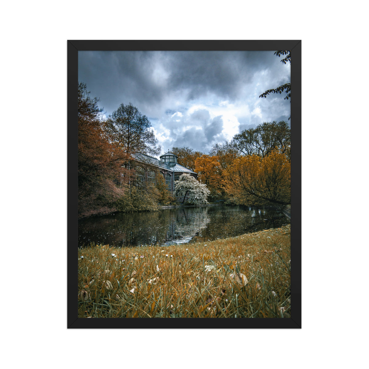 Hortus Botanicus, Amsterdam framed luster print by iain, larger size shown in a black frame
