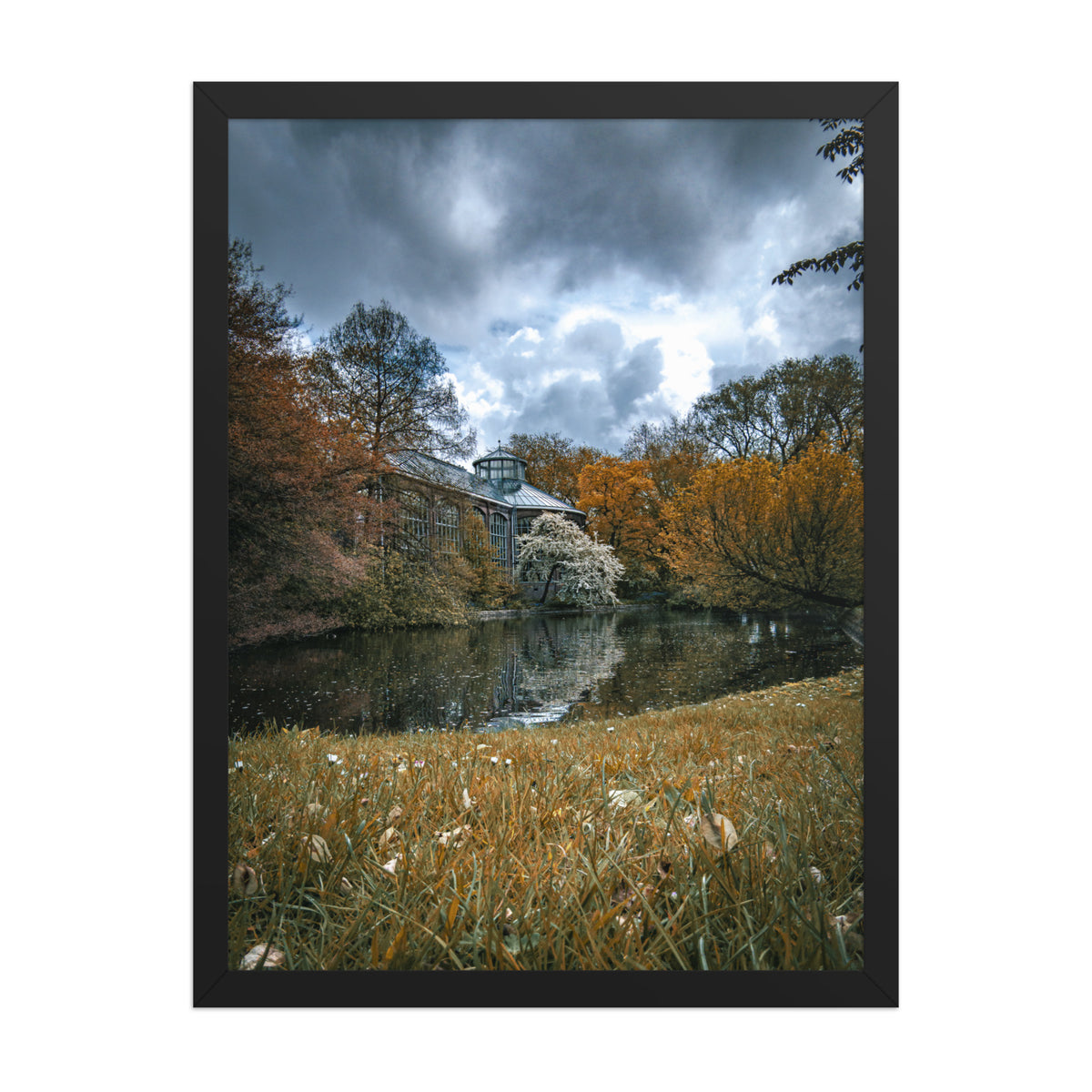 Hortus Botanicus, Amsterdam framed luster print by iain, another size shown in a black frame