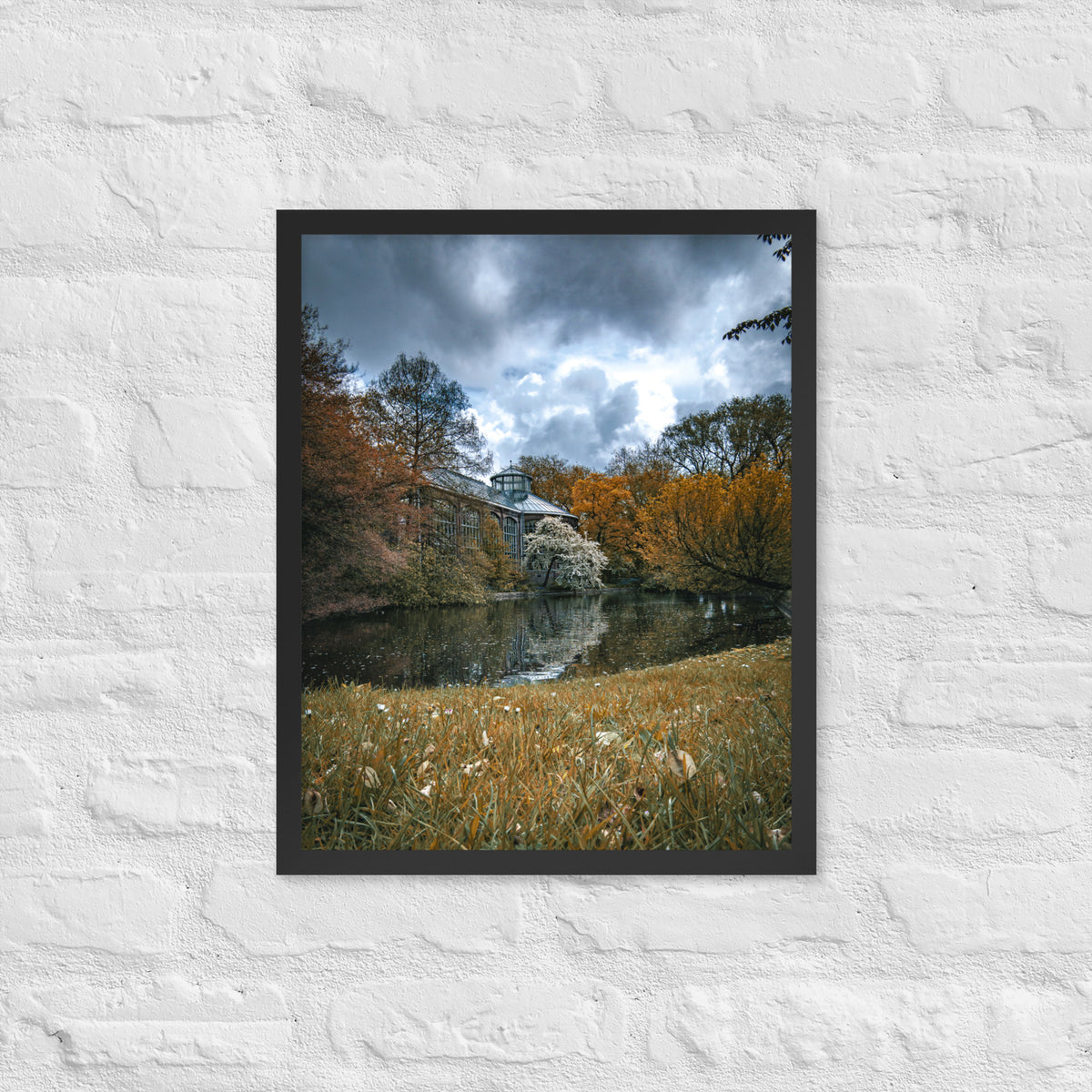 Hortus Botanicus, Amsterdam framed luster print by iain, black framed print hanging on a white brick wall