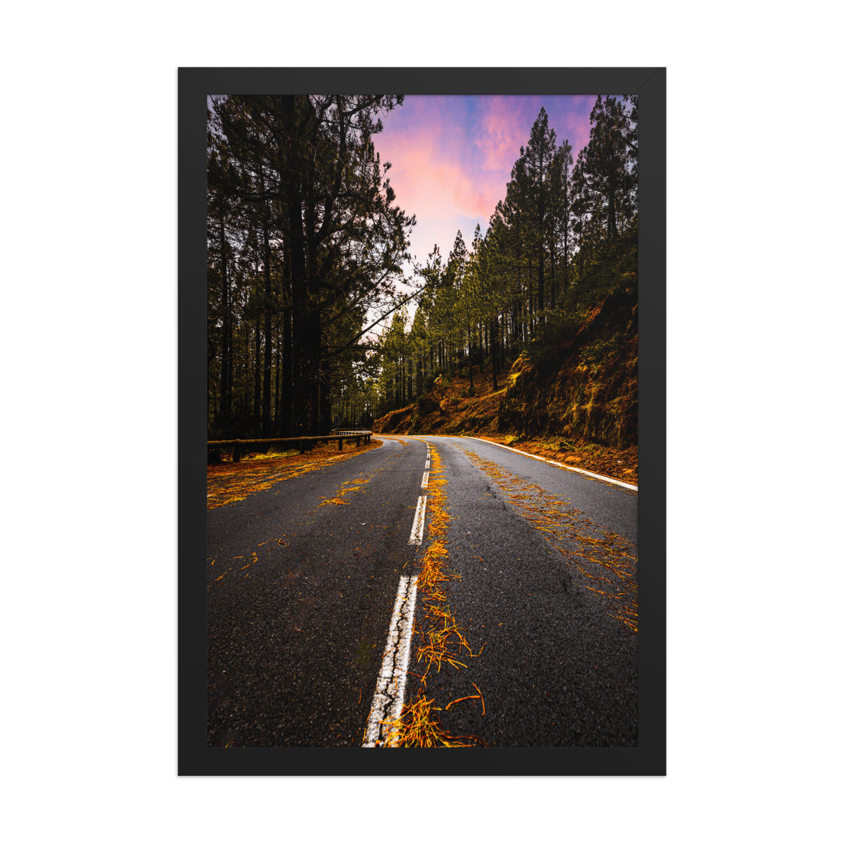 Mountain Road framed luster print by iain, front view of the black framed print showing orange pine needles on the dark pavement