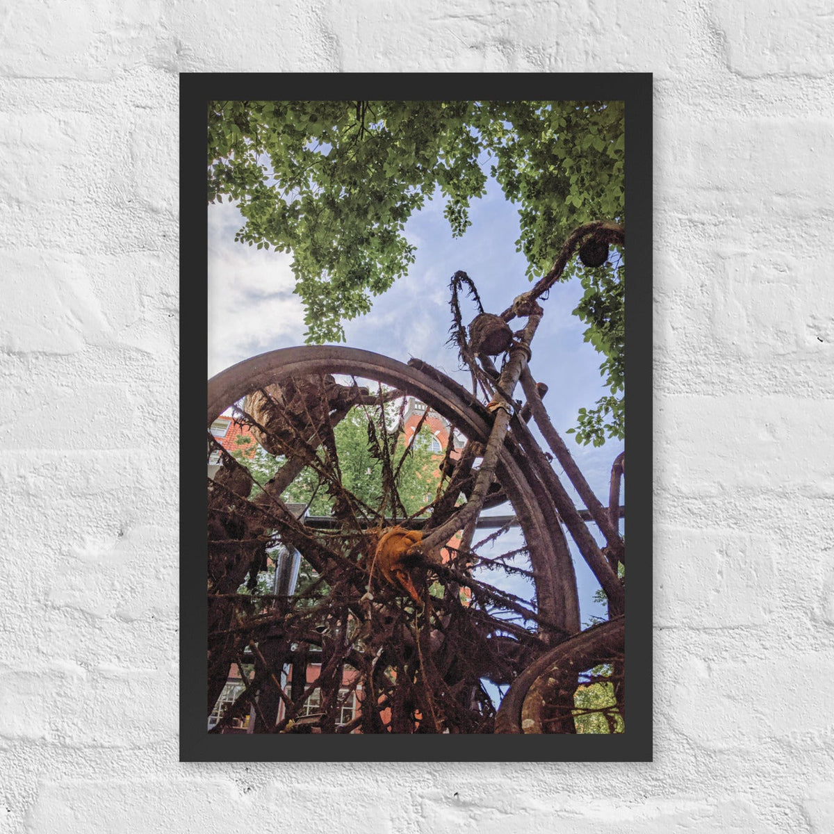 Rusty Bicycle framed luster print by iain, black framed photograph of a rusted bicycle overgrown with roots and moss under green leaves and blue sky, hanging on a white brick wall