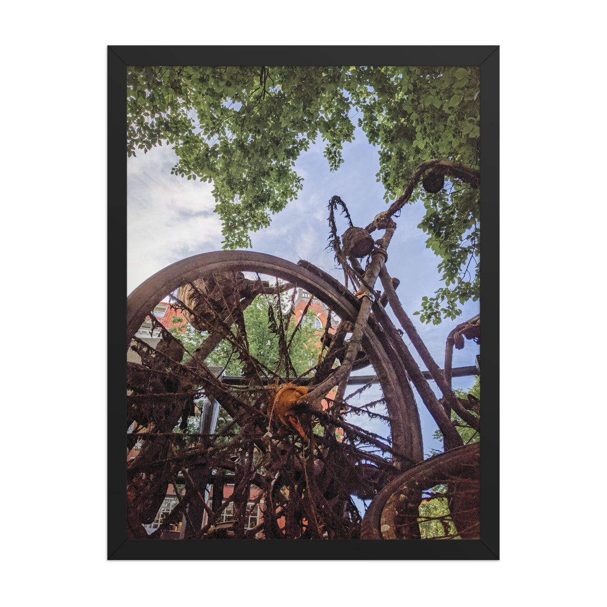 Rusty Bicycle framed luster print by iain, larger size shown in a black frame