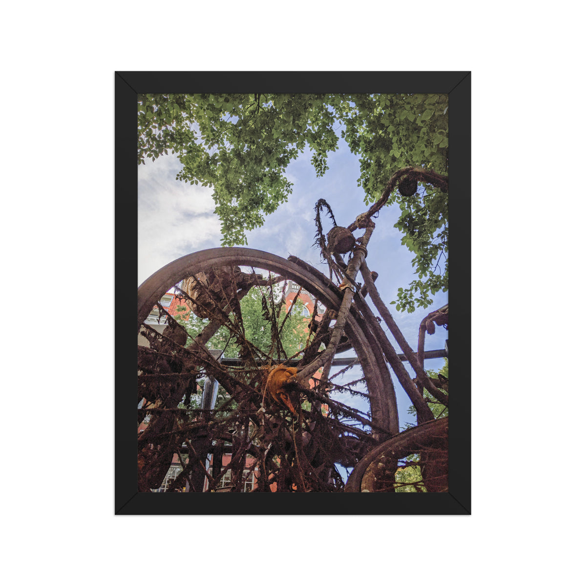 Rusty Bicycle framed luster print by iain, another size shown in a black frame