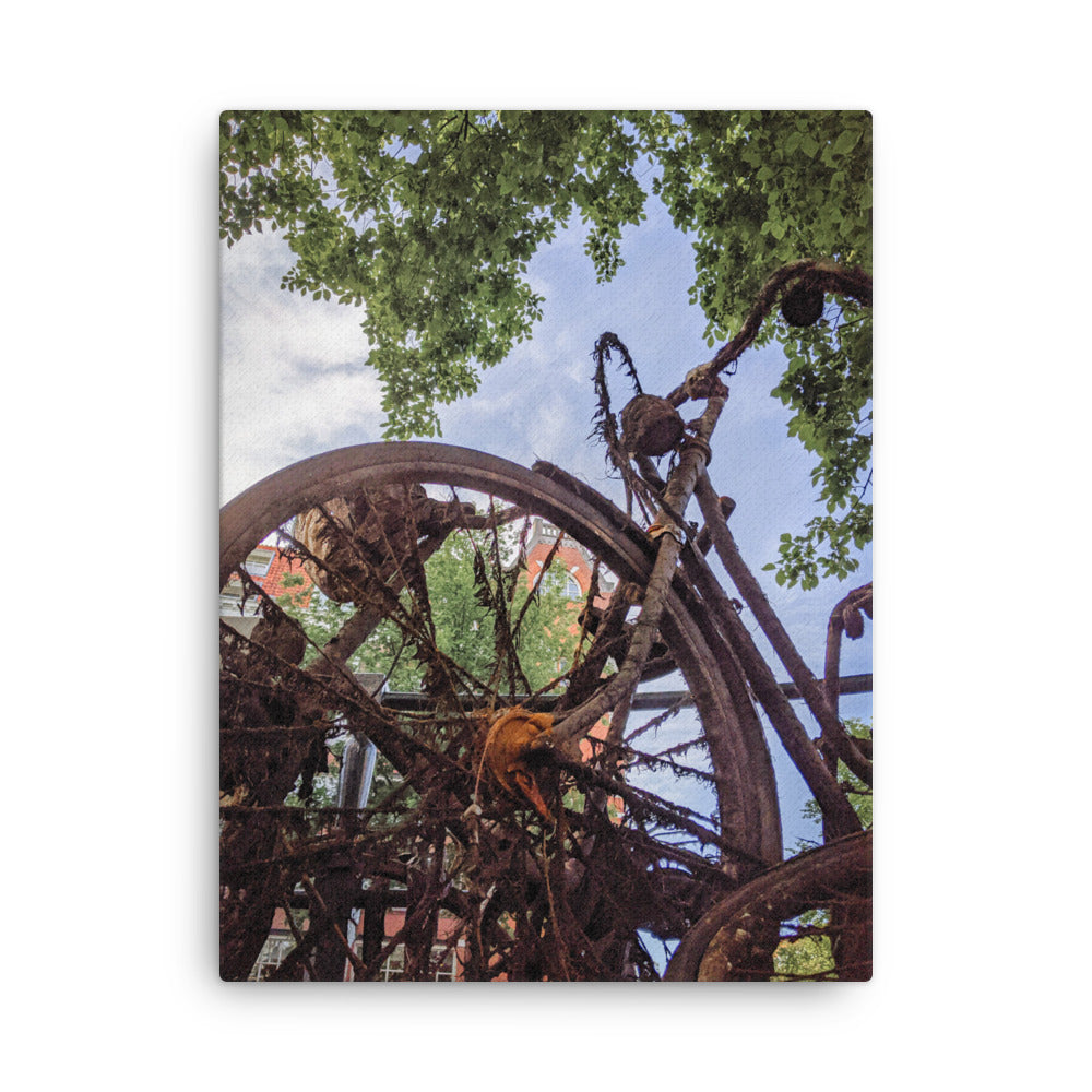 Rusty Bicycle thin canvas print by Iain Camacho, front view of a photograph of a rusted bicycle overgrown with roots and moss under green leaves and blue sky